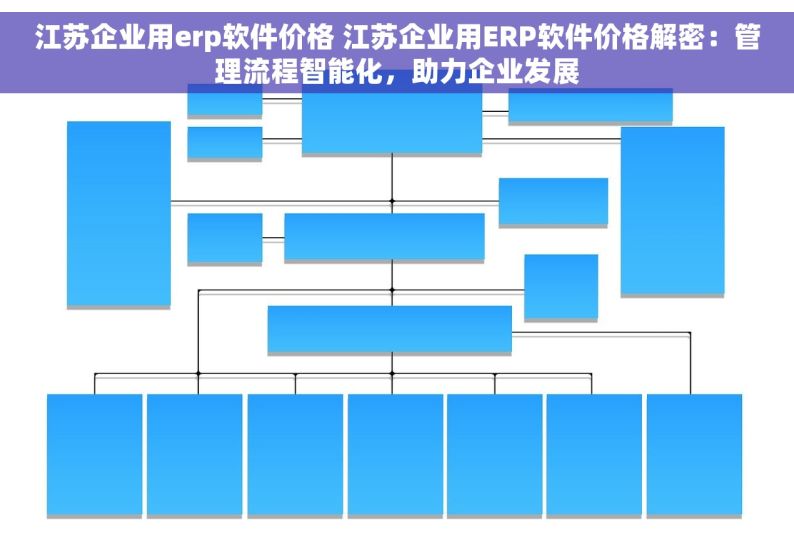 江苏企业用erp软件价格 江苏企业用ERP软件价格解密：管理流程智能化，助力企业发展