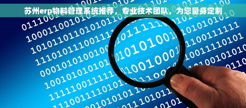 苏州erp物料管理系统推荐，专业技术团队，为您量身定制