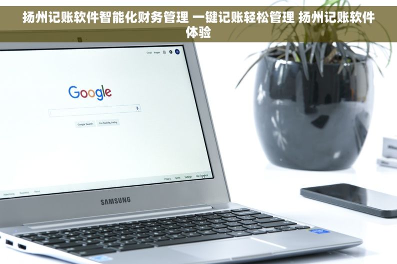 扬州记账软件智能化财务管理 一键记账轻松管理 扬州记账软件体验