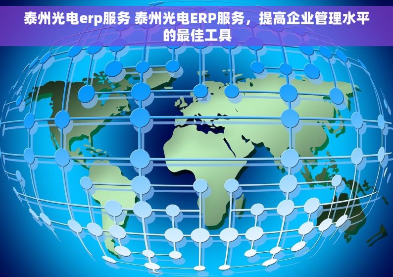 泰州光电erp服务 泰州光电ERP服务，提高企业管理水平的最佳工具