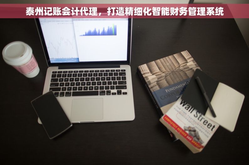 泰州记账会计代理，打造精细化智能财务管理系统