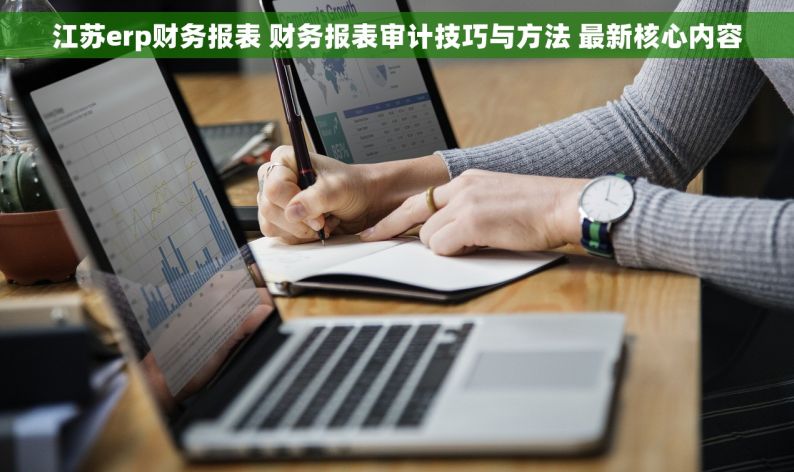 江苏erp财务报表 财务报表审计技巧与方法 最新核心内容