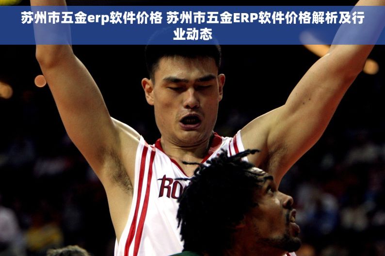 苏州市五金erp软件价格 苏州市五金ERP软件价格解析及行业动态