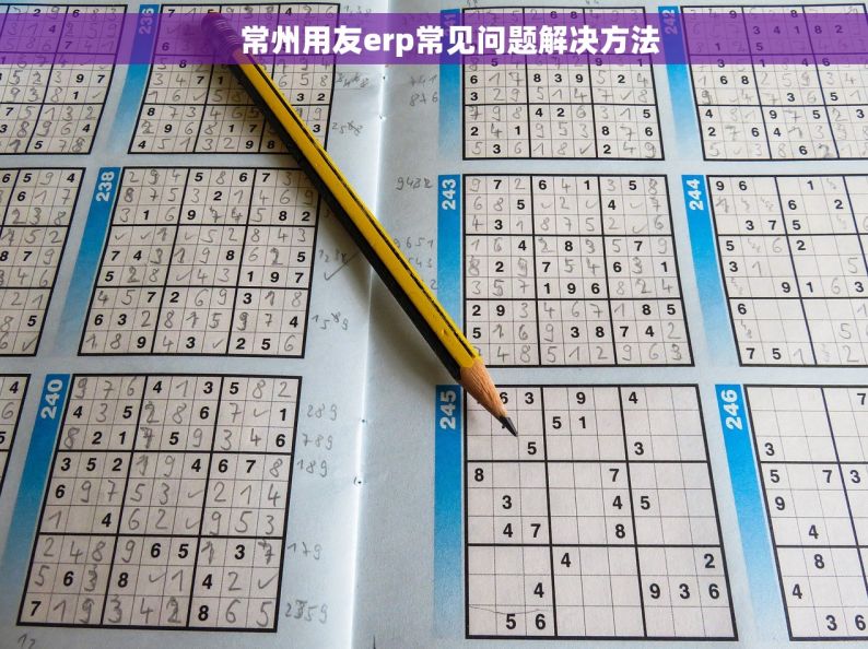     常州用友erp常见问题解决方法