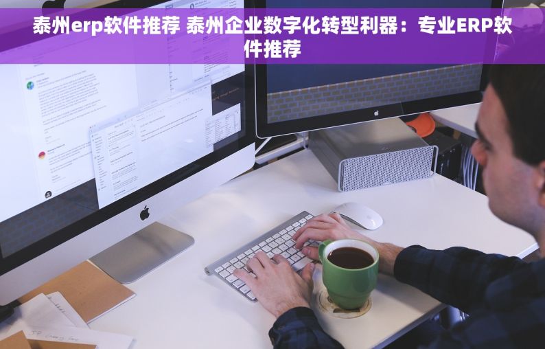 泰州erp软件推荐 泰州企业数字化转型利器：专业ERP软件推荐