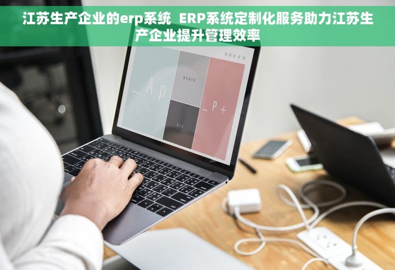 江苏生产企业的erp系统  ERP系统定制化服务助力江苏生产企业提升管理效率