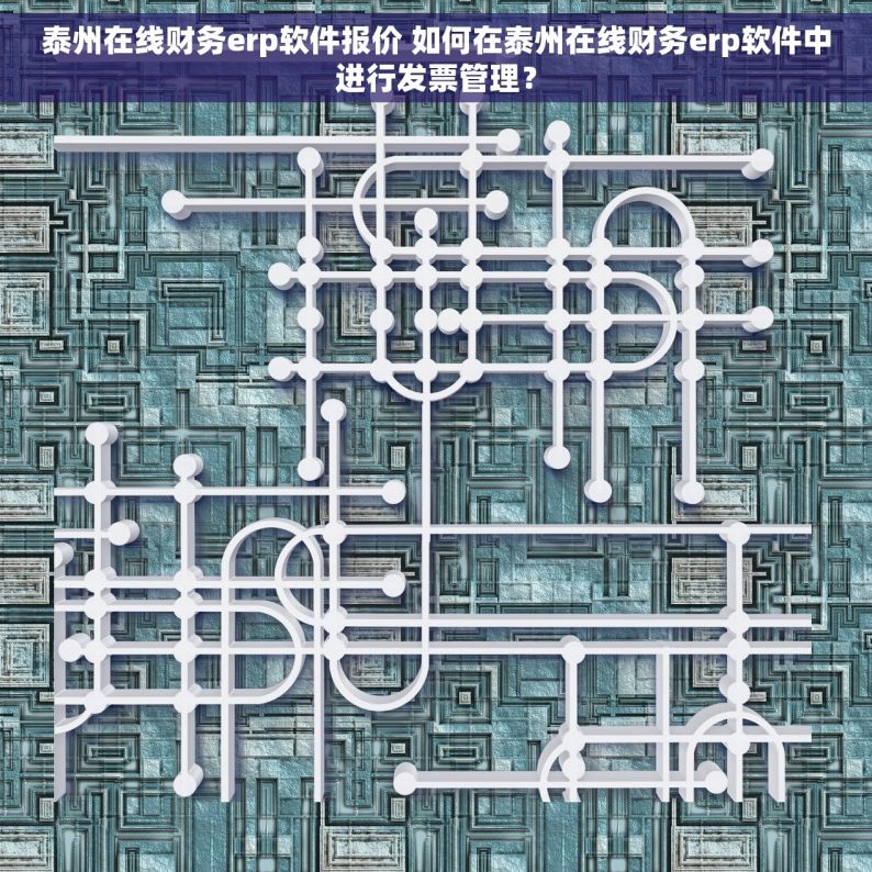 泰州在线财务erp软件报价 如何在泰州在线财务erp软件中进行发票管理？