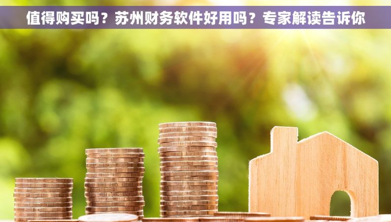 值得购买吗？苏州财务软件好用吗？专家解读告诉你