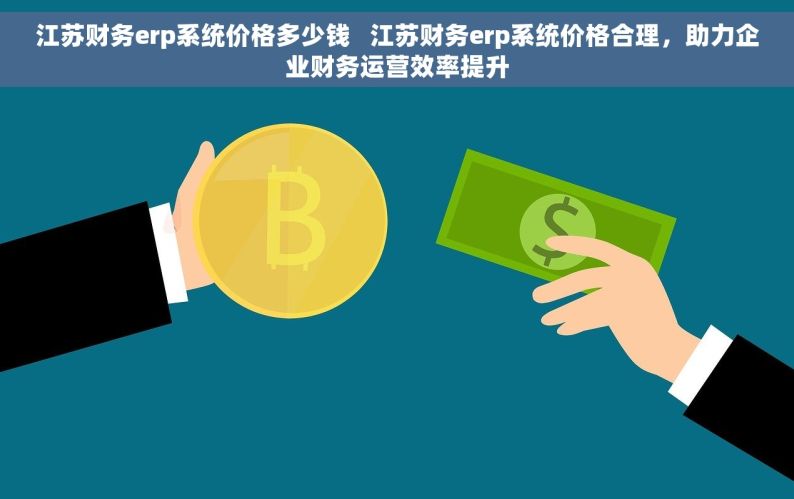 江苏财务erp系统价格多少钱   江苏财务erp系统价格合理，助力企业财务运营效率提升