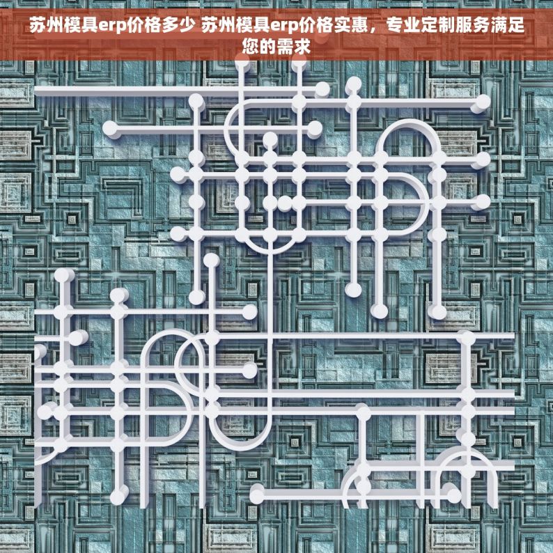 苏州模具erp价格多少 苏州模具erp价格实惠，专业定制服务满足您的需求