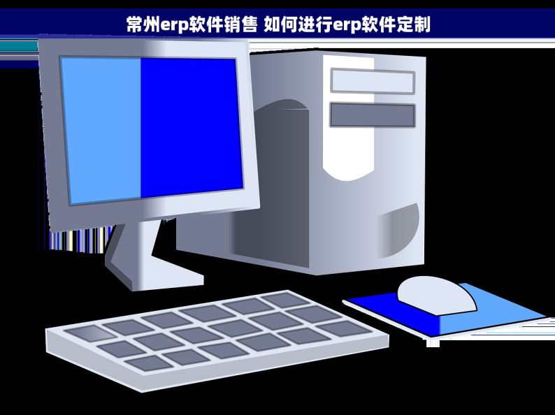常州erp软件销售 如何进行erp软件定制