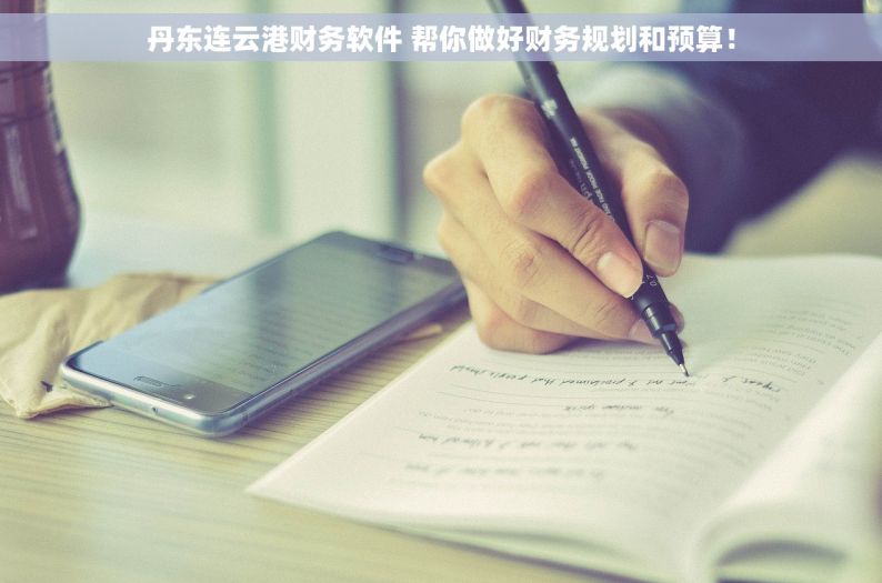 丹东连云港财务软件 帮你做好财务规划和预算！