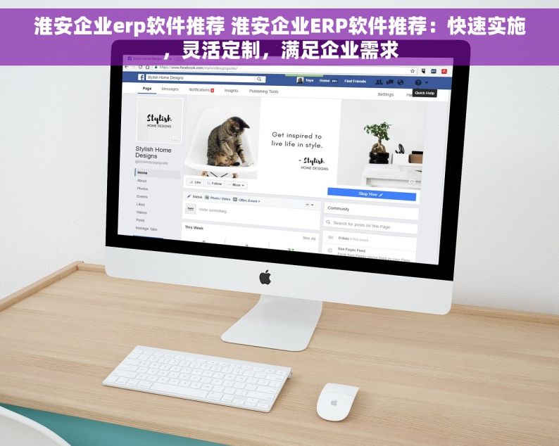淮安企业erp软件推荐 淮安企业ERP软件推荐：快速实施，灵活定制，满足企业需求