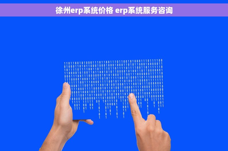 徐州erp系统价格 erp系统服务咨询