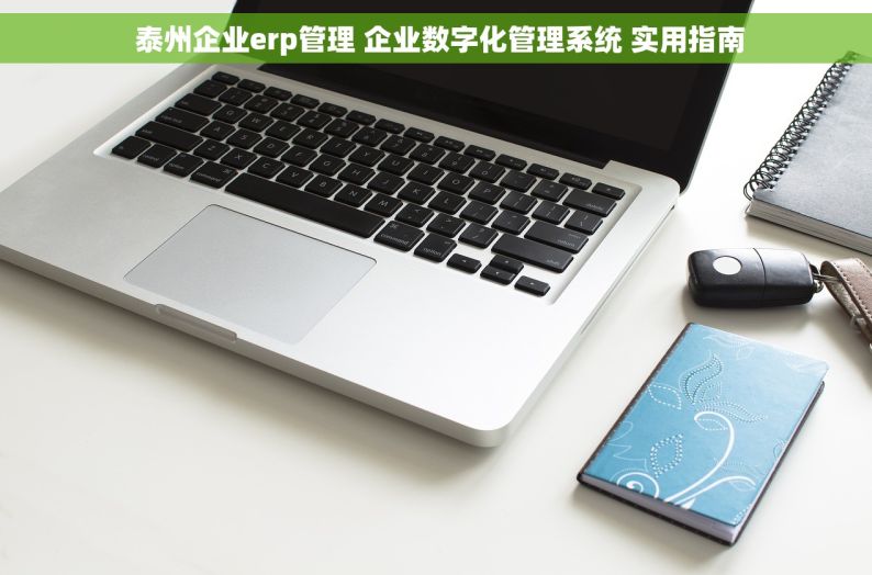  泰州企业erp管理 企业数字化管理系统 实用指南