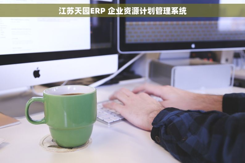江苏天园ERP 企业资源计划管理系统
