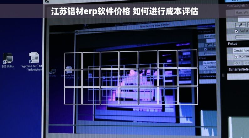 江苏铝材erp软件价格 如何进行成本评估