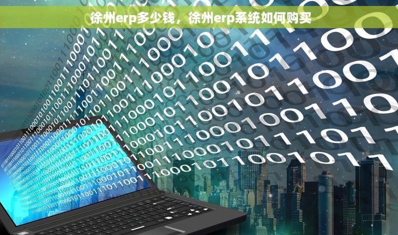  徐州erp多少钱，徐州erp系统如何购买