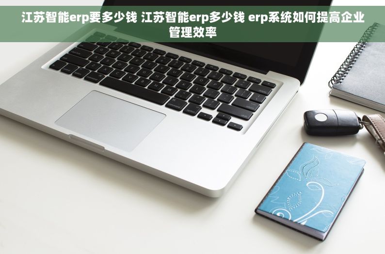 江苏智能erp要多少钱 江苏智能erp多少钱 erp系统如何提高企业管理效率