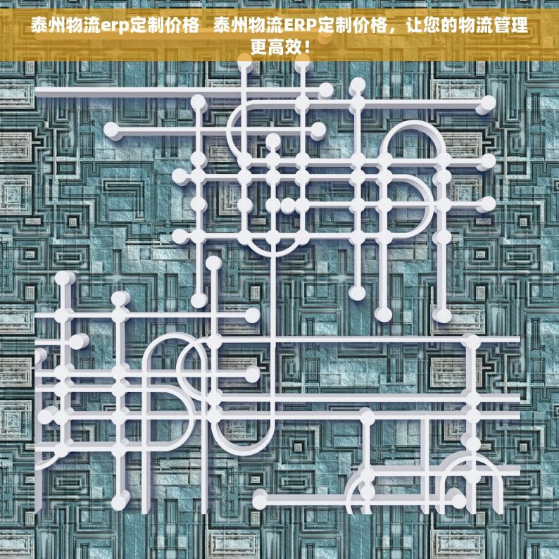 泰州物流erp定制价格   泰州物流ERP定制价格，让您的物流管理更高效！