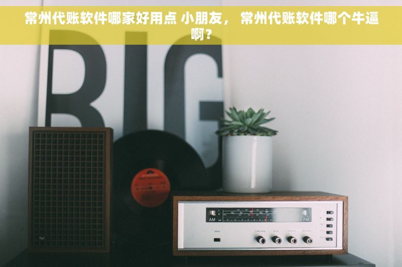 常州代账软件哪家好用点 小朋友， 常州代账软件哪个牛逼啊？
