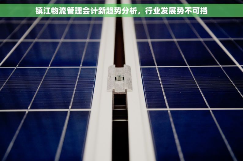 镇江物流管理会计新趋势分析，行业发展势不可挡