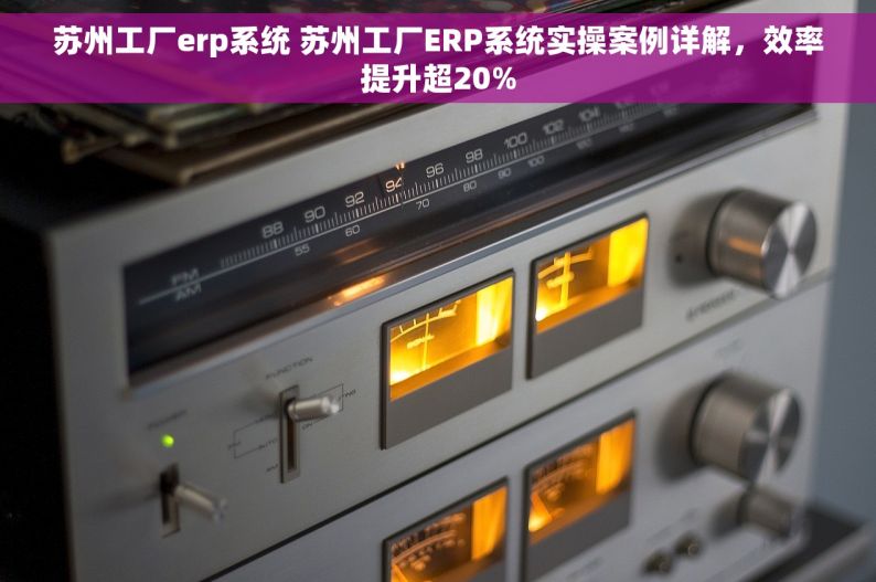 苏州工厂erp系统 苏州工厂ERP系统实操案例详解，效率提升超20%