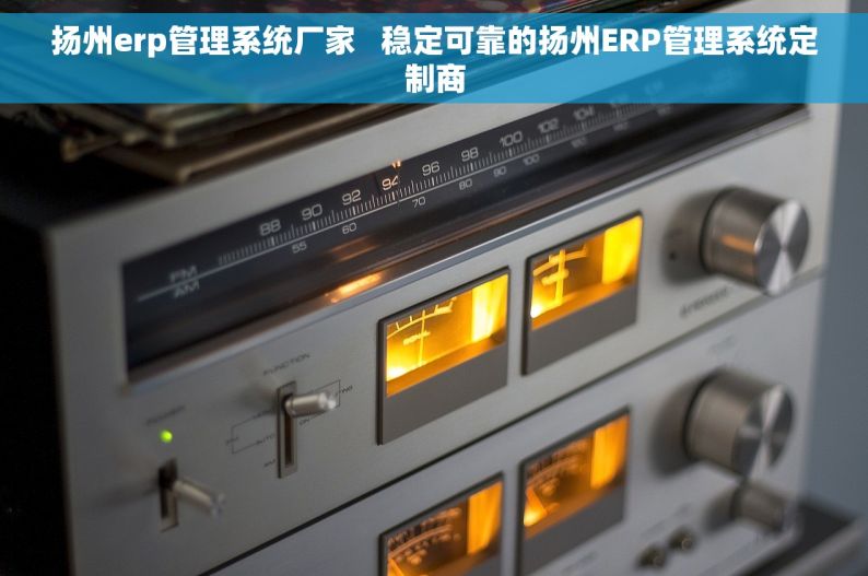 扬州erp管理系统厂家   稳定可靠的扬州ERP管理系统定制商