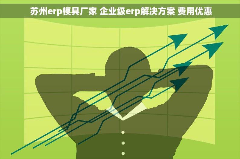  苏州erp模具厂家 企业级erp解决方案 费用优惠