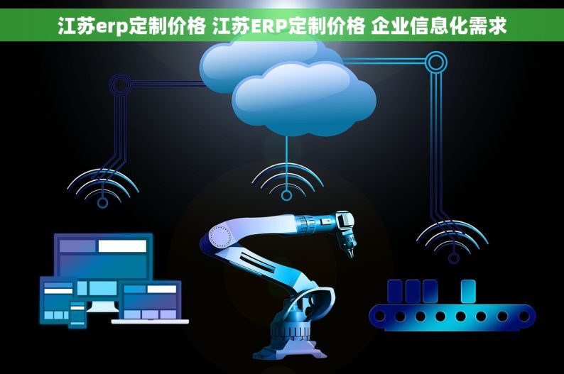 江苏erp定制价格 江苏ERP定制价格 企业信息化需求