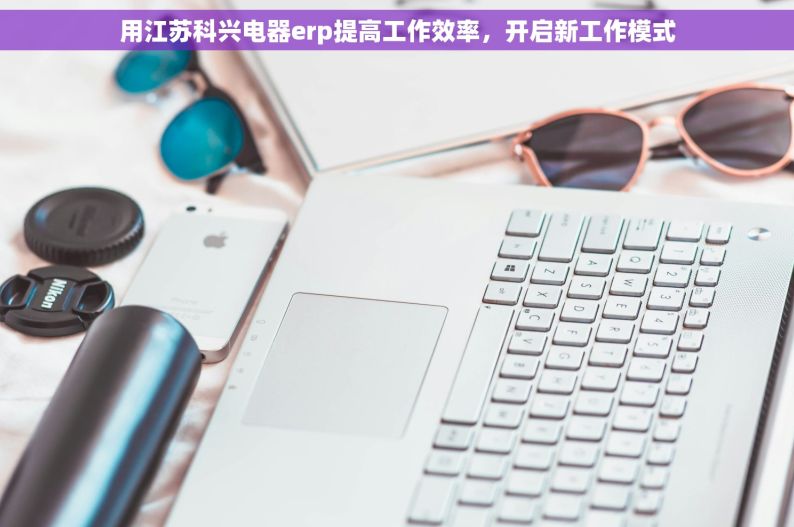 用江苏科兴电器erp提高工作效率，开启新工作模式