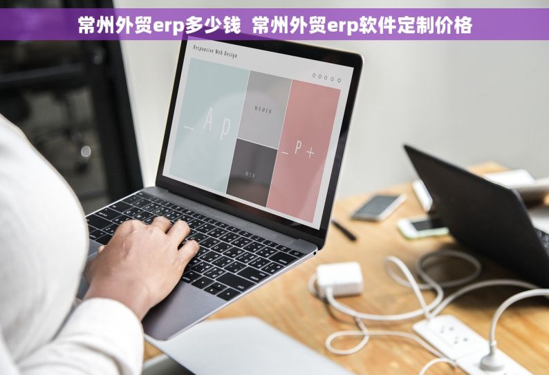 常州外贸erp多少钱  常州外贸erp软件定制价格
