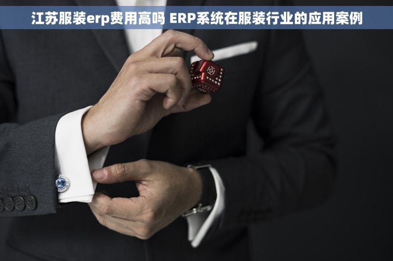 江苏服装erp费用高吗 ERP系统在服装行业的应用案例