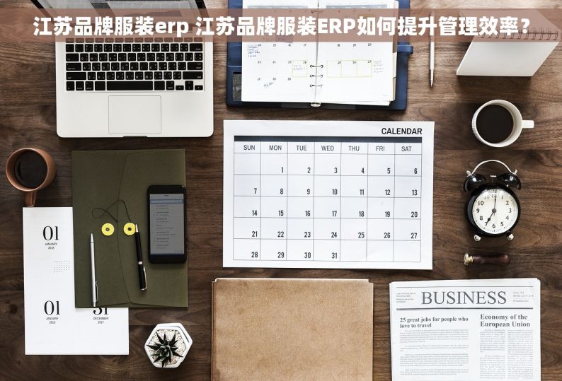 江苏品牌服装erp 江苏品牌服装ERP如何提升管理效率？