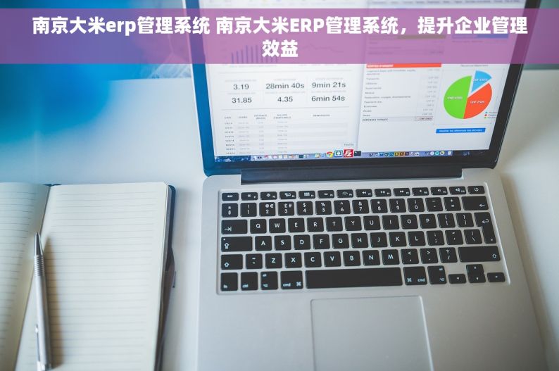 南京大米erp管理系统 南京大米ERP管理系统，提升企业管理效益
