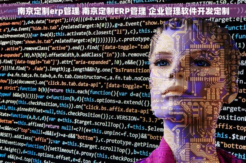 南京定制erp管理 南京定制ERP管理 企业管理软件开发定制