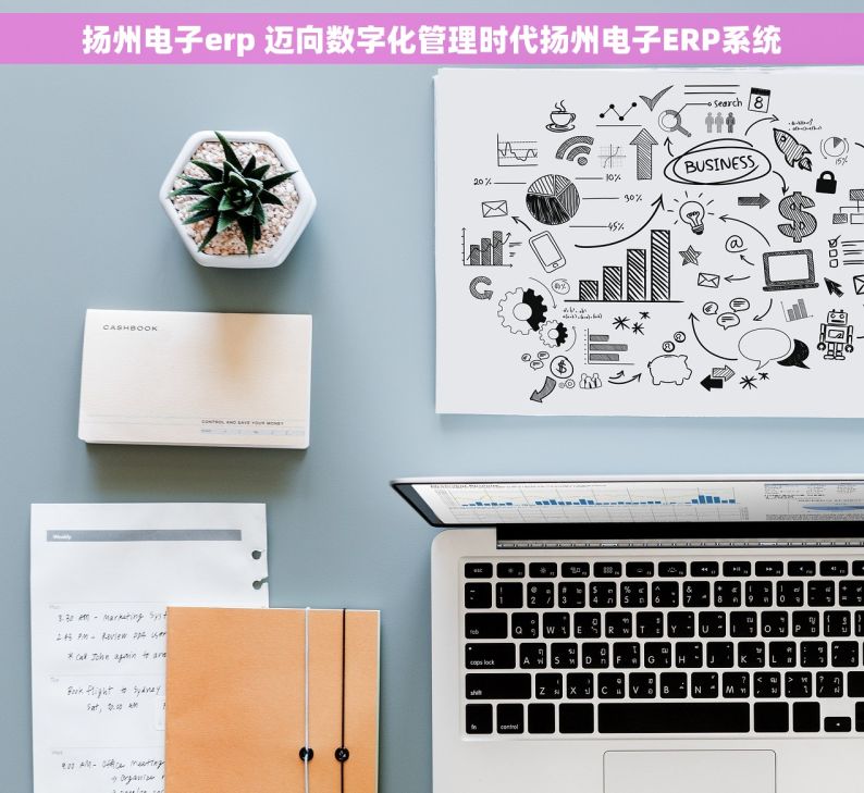 扬州电子erp 迈向数字化管理时代扬州电子ERP系统