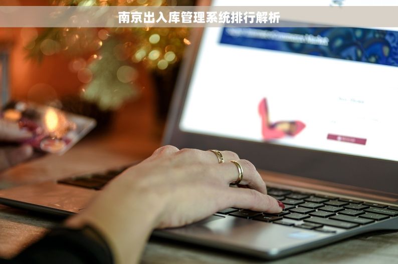 南京出入库管理系统排行解析