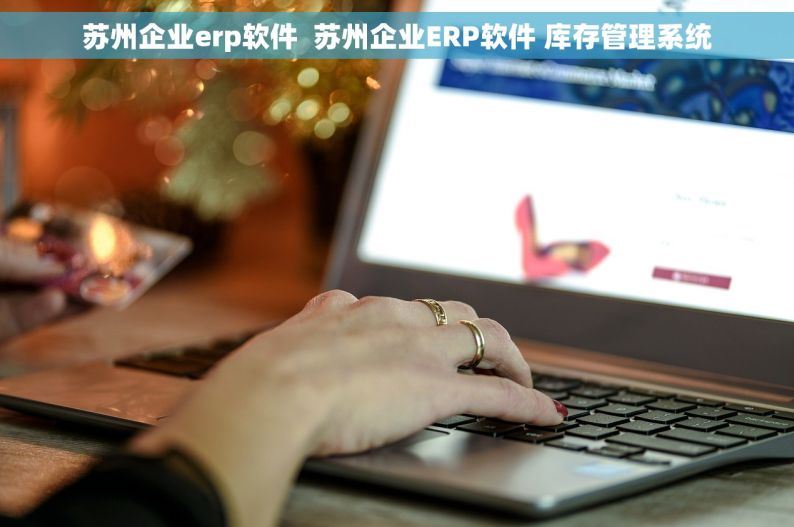 苏州企业erp软件  苏州企业ERP软件 库存管理系统