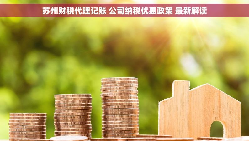 苏州财税代理记账 公司纳税优惠政策 最新解读