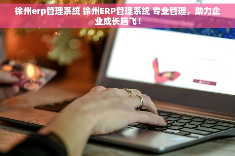 徐州erp管理系统 徐州ERP管理系统 专业管理，助力企业成长腾飞！