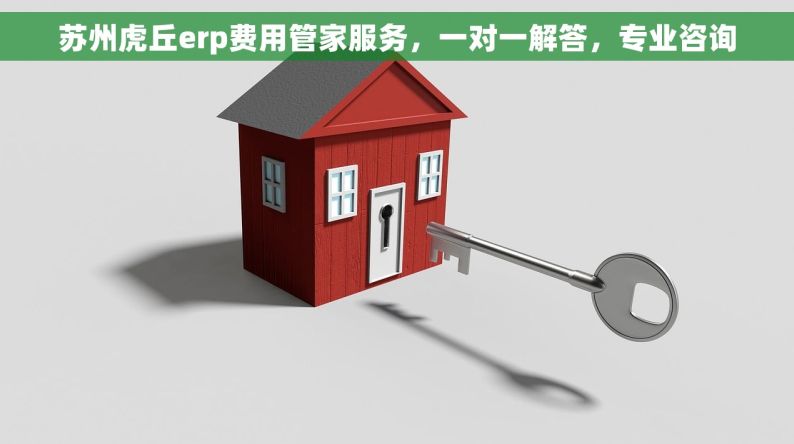 苏州虎丘erp费用管家服务，一对一解答，专业咨询