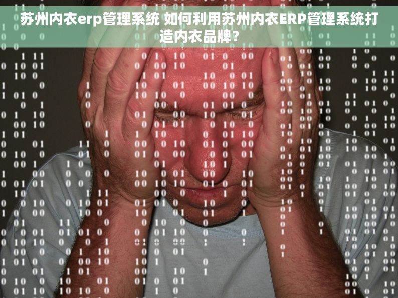 苏州内衣erp管理系统 如何利用苏州内衣ERP管理系统打造内衣品牌？