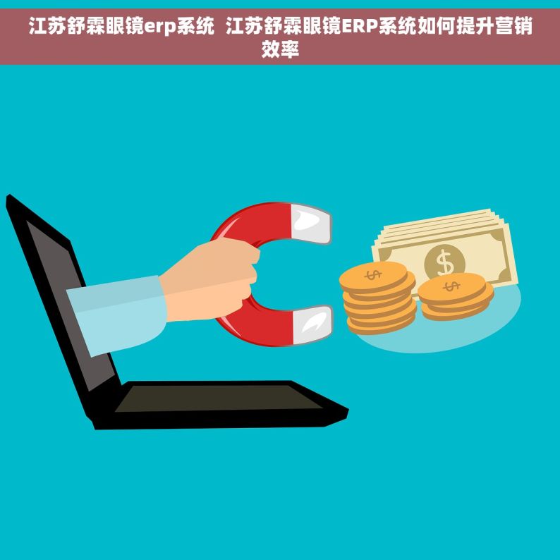 江苏舒霖眼镜erp系统  江苏舒霖眼镜ERP系统如何提升营销效率