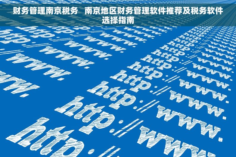财务管理南京税务   南京地区财务管理软件推荐及税务软件选择指南