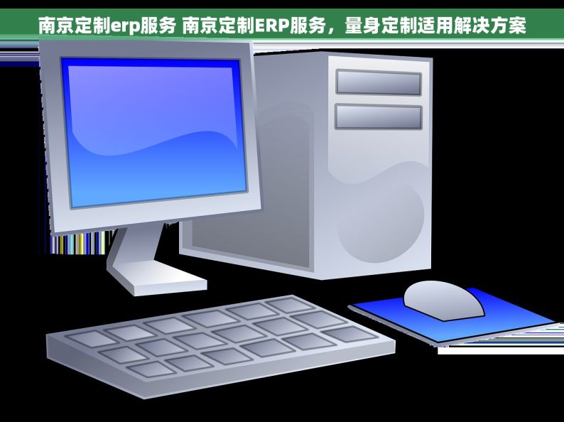 南京定制erp服务 南京定制ERP服务，量身定制适用解决方案