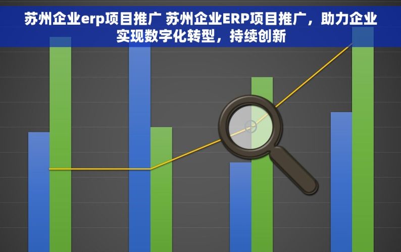 苏州企业erp项目推广 苏州企业ERP项目推广，助力企业实现数字化转型，持续创新