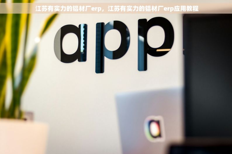  江苏有实力的铝材厂erp，江苏有实力的铝材厂erp应用教程