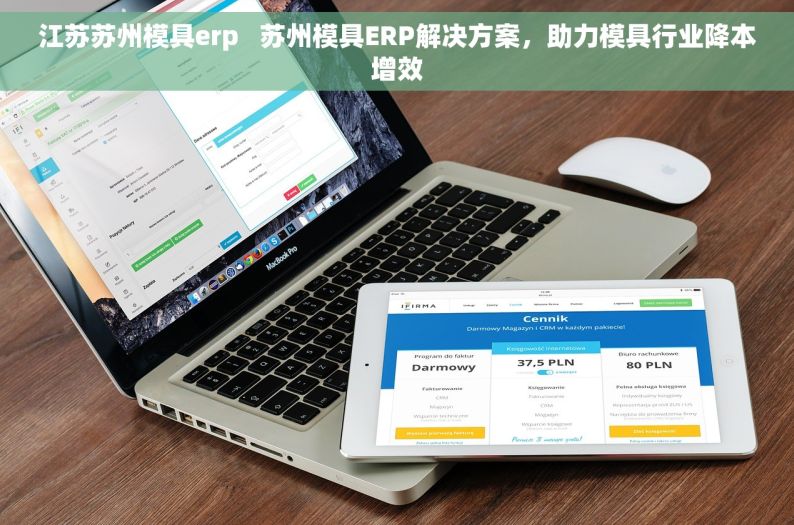江苏苏州模具erp   苏州模具ERP解决方案，助力模具行业降本增效