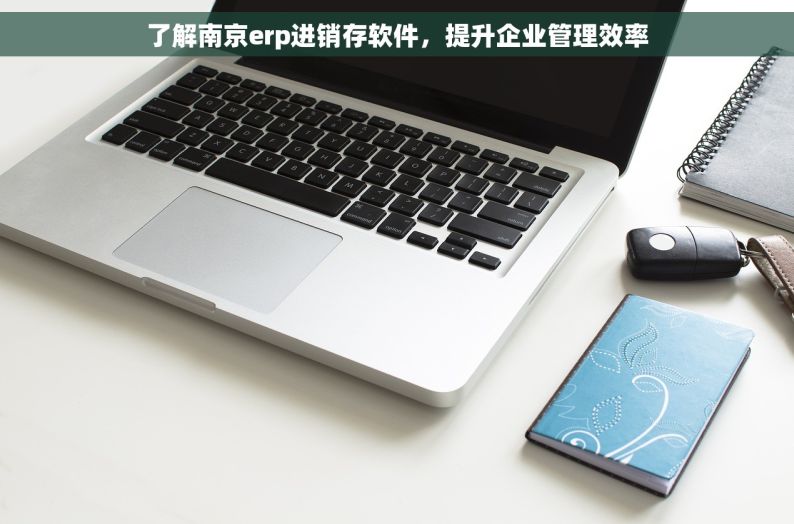 了解南京erp进销存软件，提升企业管理效率